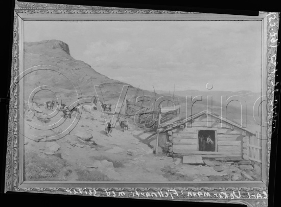 Glassplate og negativ film