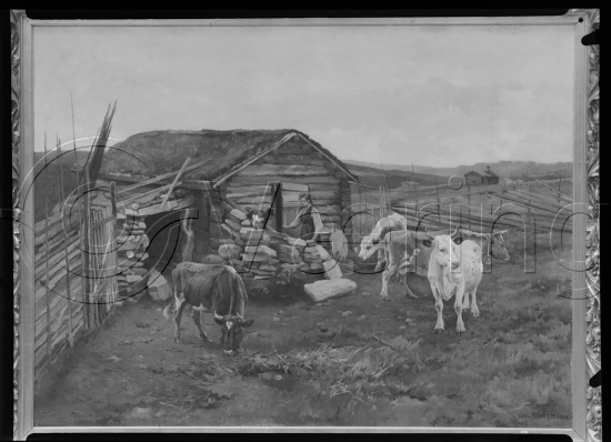 Glassplate og negativ film