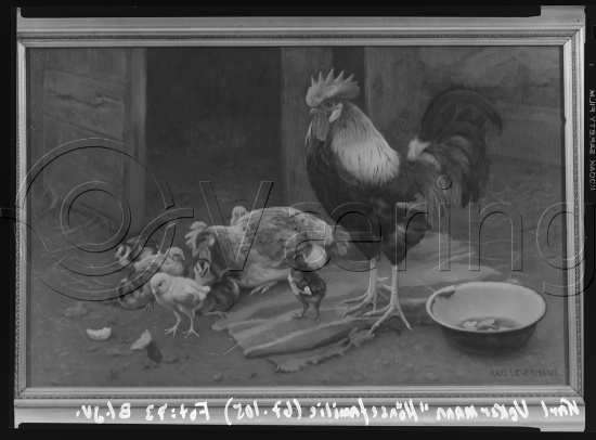 Glassplate og negativ film