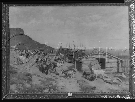 Glassplate og negativ film