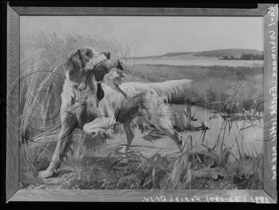 Glassplate og negativ film