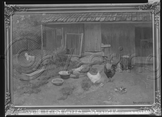 Glassplate og negativ film