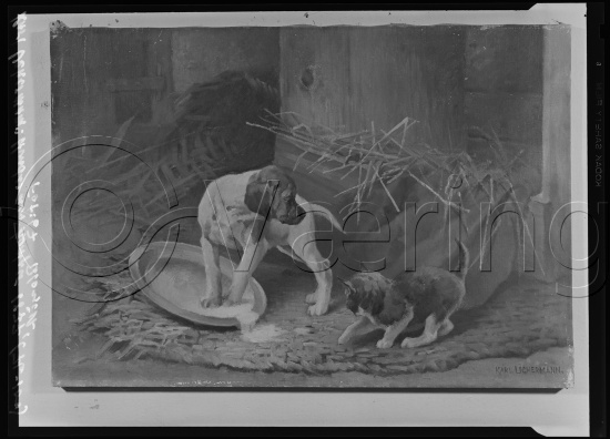 Glassplate og negativ film