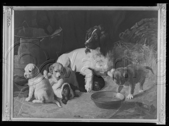 Glassplate og negativ film