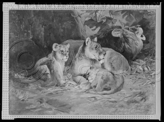 Glassplate og negativ film