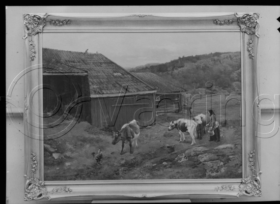 Glassplate og negativ film