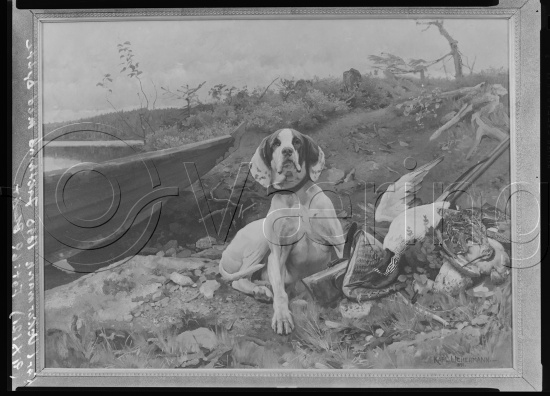 Glassplate og negativ film