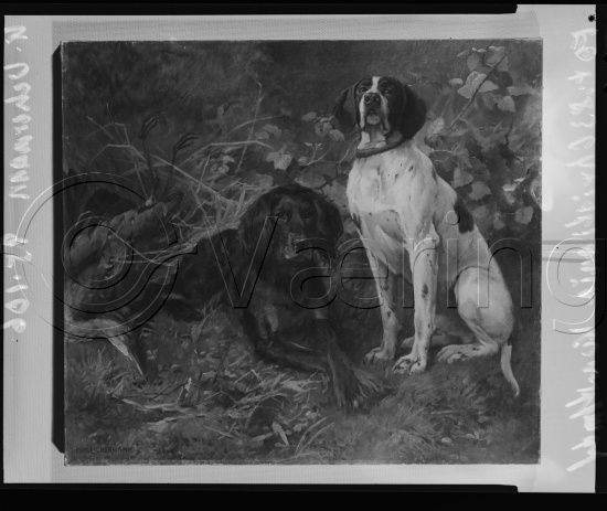 Glassplate og negativ film