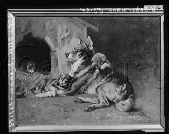 Glassplate og negativ film