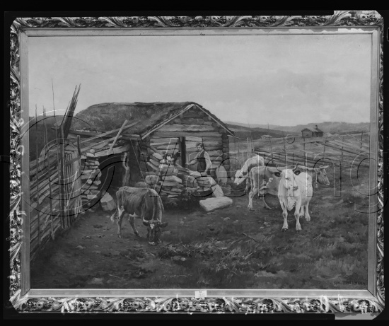 Glassplate og negativ film