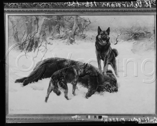 Glassplate og negativ film