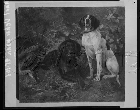 Glassplate og negativ film