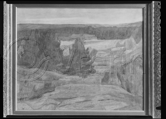 Glassplate og negativ film