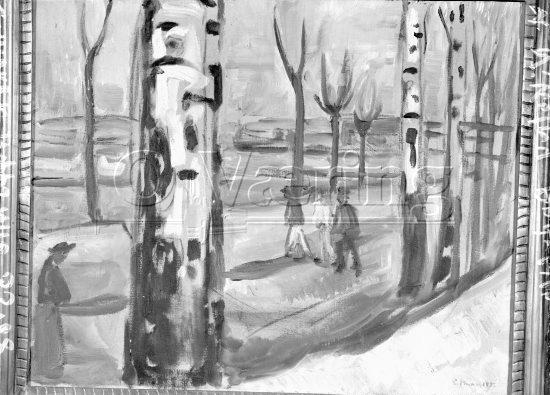 
Negativer fra Væringsamlingen 

Edvard Munch (1863-1944), 
Photo: O.Væring 