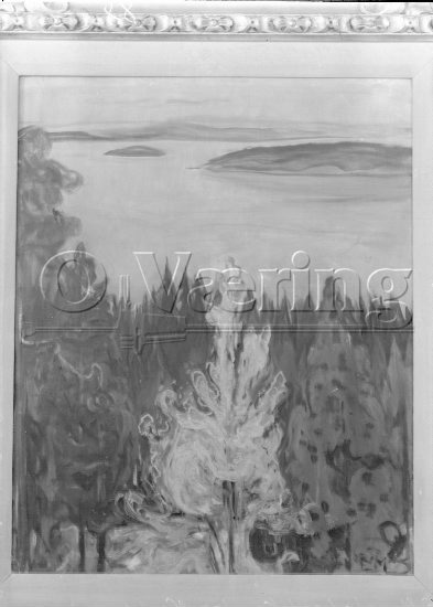 Tittel: Landskap fra Nordstrand 
Negativer fra Væringsamlingen 

Edvard Munch (1863-1944), 
Photo: O.Væring 