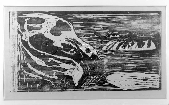 Tittel: Klippen av Meer 
Negativer fra Væringsamlingen 

Edvard Munch (1863-1944), 
Photo: O.Væring 