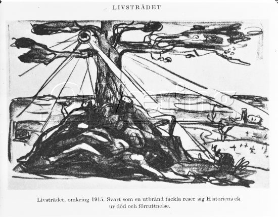 
Negativer fra Væringsamlingen 

, Edvard Munch (1863-1944), 
Photo: O.Væring 