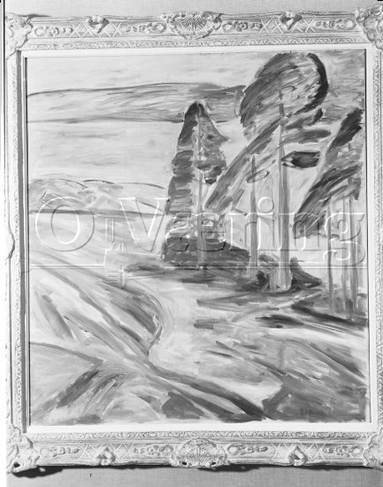
Negativer fra Væringsamlingen Edvard Munch (1863-1944), 
Photo: O.Væring Eftf AS

