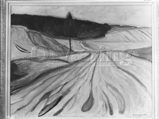 Negativer fra Væringsamlingen 
Edvard Munch (1863-1944), 
Photo: O.Væring Eftf AS

