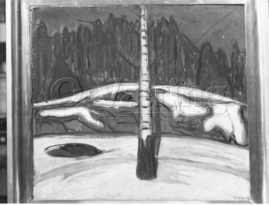 Bjerk i snš 
Negativer fra Væringsamlingen 



Edvard Munch (1863-1944)