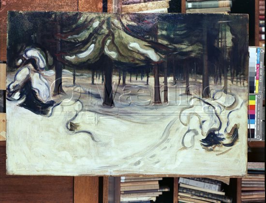 Vinter 
Negativer fra Væringsamlingen 


, Edvard Munch (1863-1944), 
Photo: O.Væring - Copyright