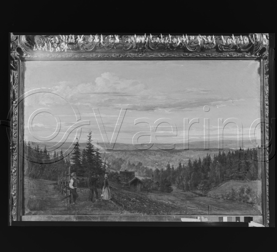 Glassplate og negativ film