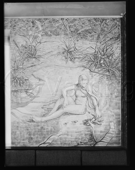 Glassplate og negativ film