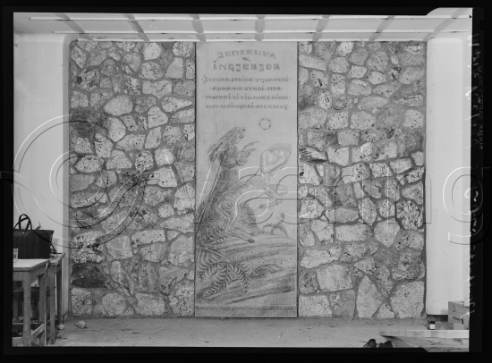 Glassplate og negativ film