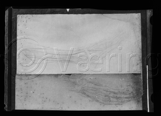 Glassplate og negativ film