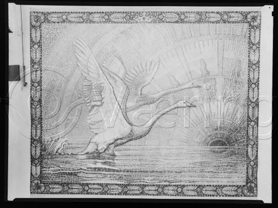 Glassplate og negativ film