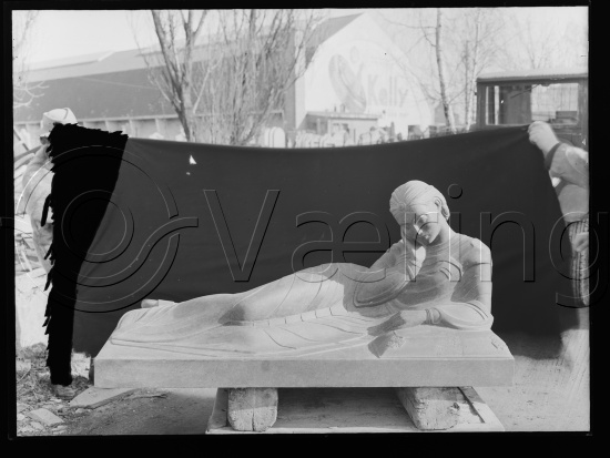 Glassplate og negativ film