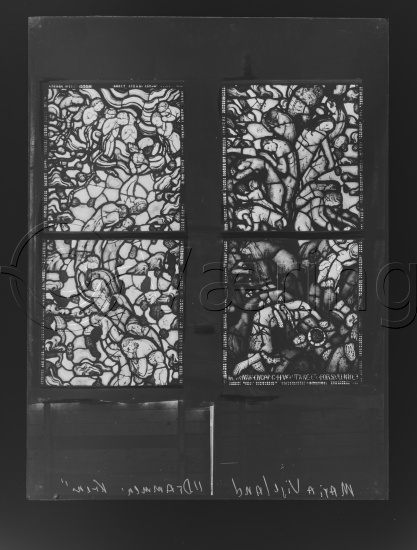 Glassplate og negativ film