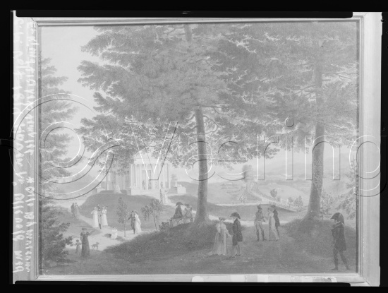 Glassplate og negativ film