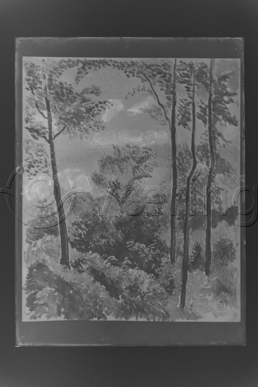 Glassplate og negativ film