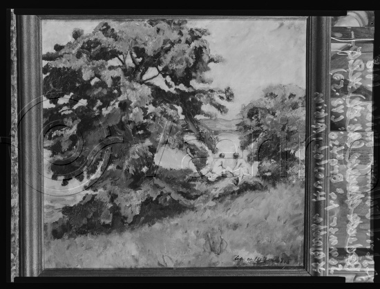 Glassplate og negativ bladfilm