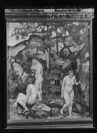 Glassplate og negativ bladfilm