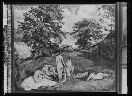 Glassplate og negativ bladfilm