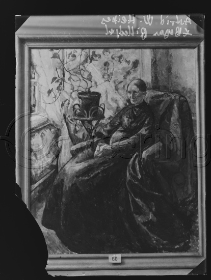 Glassplate og negativ bladfilm