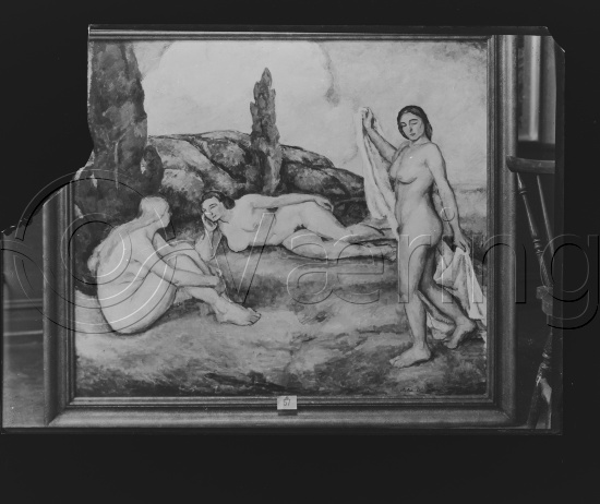 Glassplate og negativ bladfilm