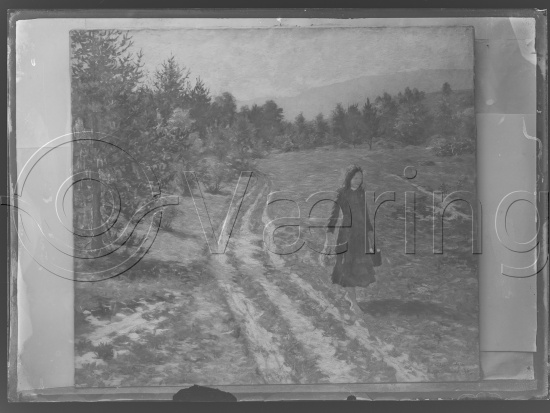 Glassplate og negativ film