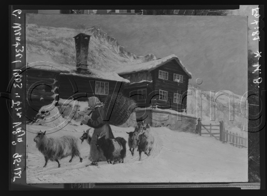 Glassplate og negativ film