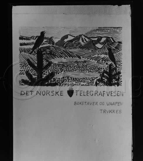 Glassplate og negativ film