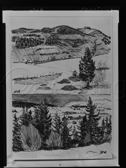 Glassplate og negativ film
