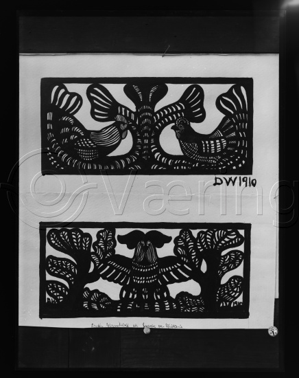 Glassplate og negativ film