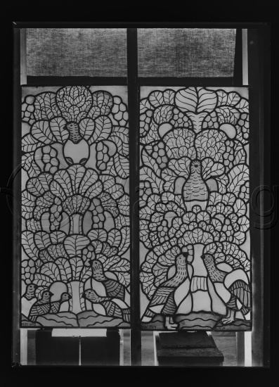 Glassplate og negativ film