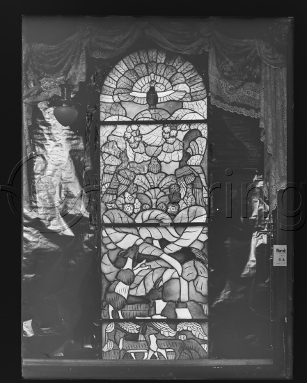 Glassplate og negativ film