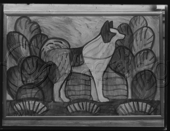 Glassplate og negativ film