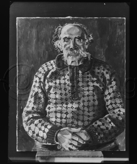 Glassplate og negativ bladfilm