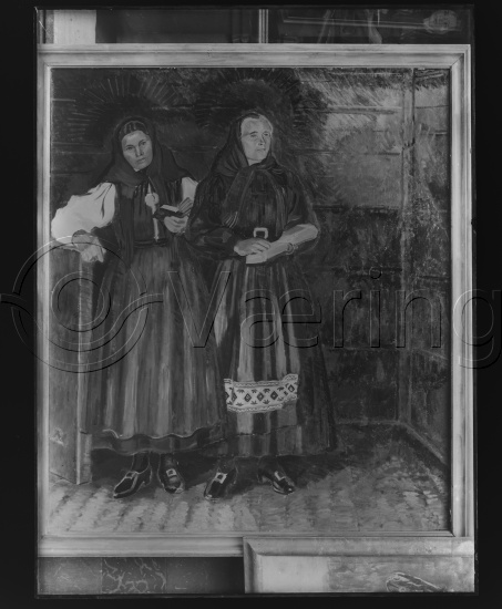 Glassplate og negativ bladfilm