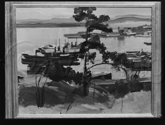 Glassplate og negativ bladfilm